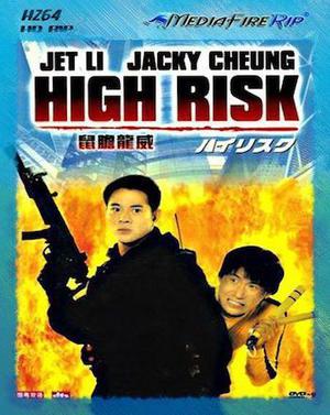 High Risk 1995